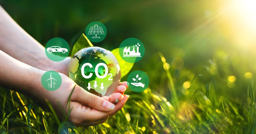 Strategii ”net zero” (zero emisii) pentru sectorul automobilelor